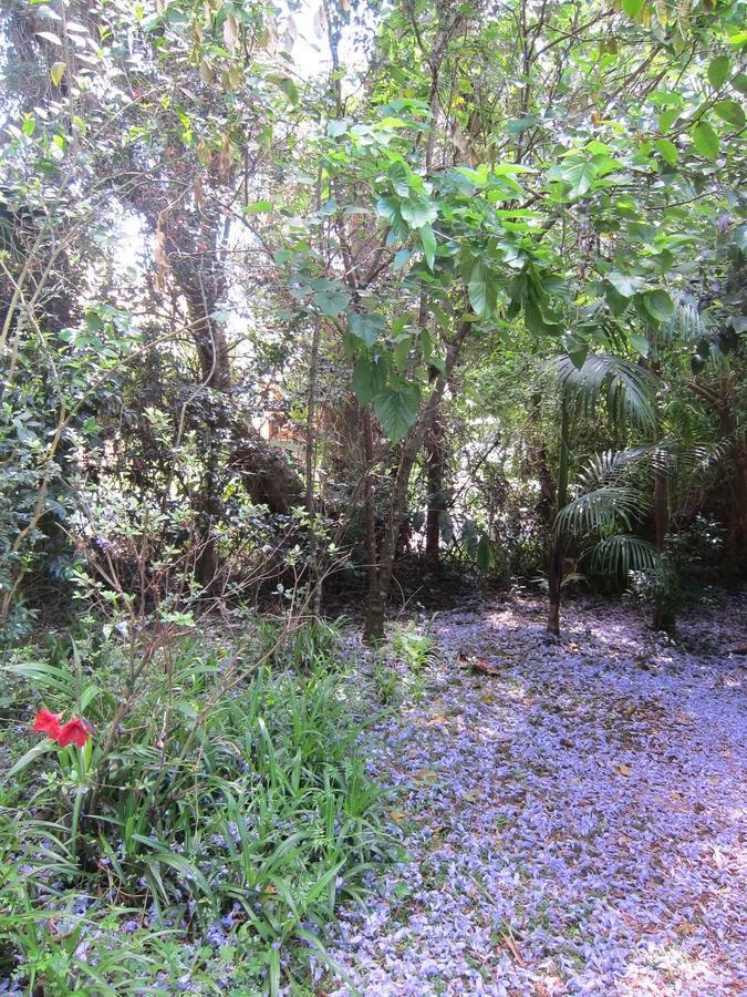 Kidd Street Cottages Mount Tamborine Esterno foto