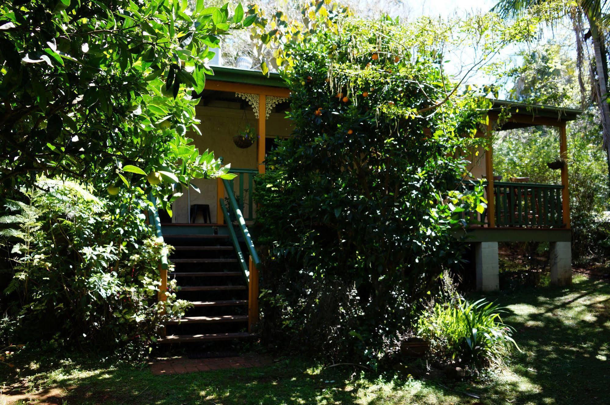 Kidd Street Cottages Mount Tamborine Esterno foto